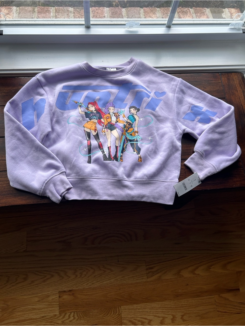 NWT KPop Demon Hunters
Huntrix Graphic Pullover
Sweatshirt - Lilac Purple